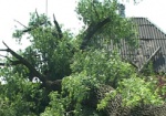 Бесхозный сухостой. В Золочевском районе на жилой дом рухнуло дерево