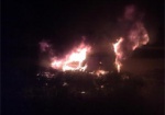В Харькове ночью сгорел автомобиль