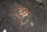 В центре Харькова нашли череп