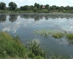 Мор рыбы в реке под Харьковом не связан с промышленными сбросами