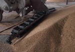 В Харьковской области ждут рекордный урожай зерна