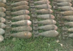В лесу в районе Пятихаток обезвредили 30 военных снарядов