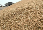 Украина планирует распродать около 25 миллионов тонн зерна