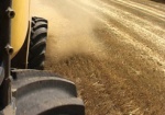 Украина экспортировала 300 тысяч тонн зерна нового урожая