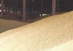 Украина планирует создать зерновой пул со странами СНГ