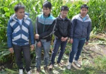 На границе задержали нелегальных мигрантов из Вьетнама