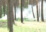 Харьковские спасатели готовы бороться с лесными пожарами