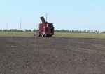 Украинские аграрии планируют собрать больше 9 миллионов тонн овощей