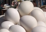 АМКУ советует производителям не повышать цены на яйца