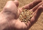 Украина рассчитывает войти в пятерку мировых экспортеров зерна
