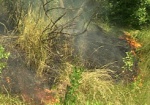 За выходные в области 35 раз горели сухая трава и мусор
