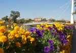 Харьков замахнулся на звание города с самой длинной цветочной изгородью