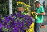 Тысячи цветов сегодня уедут в школы Харькова