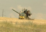 В Харькове будут выводить новые сорта зерновых культур