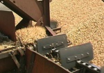 Украина экспортировала больше 4 миллионов тонн зерна