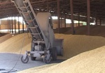 Аграрии собрали почти 3 миллиона тонн зерна