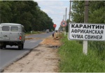 Украинскую границу закрывают из-за африканской чумы свиней
