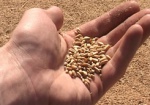 Аграрии Харьковщины намолотили 3 миллиона тонн зерна