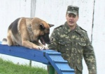 Без формы - не подходи. В колонии на Харьковщине показали ежедневные тренировки служебных собак