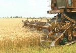 Агрофонд задолжал сельхозпроизводителям 200 миллионов гривен