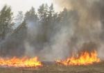 Гослесагентсво: В Украине сократилось количество лесных пожаров