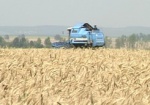 На Харьковщине в этом году ожидают рекордный урожай зерна
