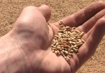 УКАБ: Экспорт украинского зерна - под угрозой