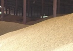 Украинские аграрии собрали 57 миллионов тонн зерна