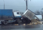 На перекрестке проспекта 50-летия СССР и улицы Ньютона столкнулись два грузовика