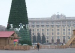 В Харькове начнут устанавливать новогоднюю елку