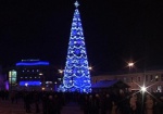 Главная елка Харькова будет светиться миллионами огней