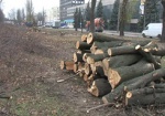 Асфальт вместо деревьев. В Харькове расширяют Московский проспект