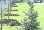 Харьковчан приглашают высадить деревья в парке Горького