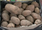 На Харьковщине произвели 1 миллион тонн картофеля