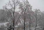 Метеорологи: завтра в Харькове похолодает