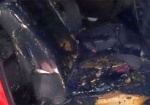 В сгоревшей машине «евромайдановцев» остались следы неизвестной жидкости