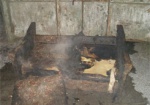 В Змиевском районе при пожаре хозяин дома задохнулся угарным газом
