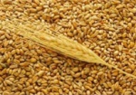 В Украине могут вернуть НДС операций с зерном