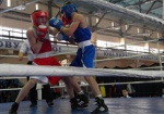 Харьковские боксеры взяли первенство на чемпионате Украины