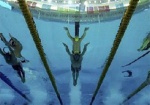 Харьковские пловцы завоевали девять медалей на Кубке Украины