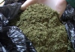 Украинец пытался провезти через границу с Россией почти 9 кг марихуаны