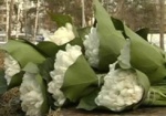 На Харьковщине выявили незаконную торговлю первоцветами