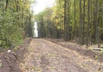 Чиновники незаконно использовали больше 20 гектаров леса