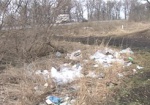 В борьбе за чистоту. Дорожники Харьковщины жалуются на стихийные мусорки