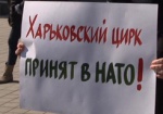 Абсурдные плакаты в центре города. Харьковчане провели юмористический флешмоб за целостность страны