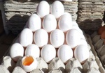 Цены под контролем. Специалисты не прогнозируют резкого подорожания яиц перед Пасхой