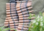 Харьковчанин хранил в тайнике огнестрельное оружие и боеприпасы