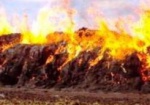 На ферме под Балаклеей сгорели 1,5 тысячи тонн соломы