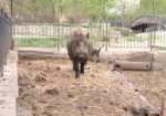 Харьковскому зоопарку дополнительно дадут 2 миллиона гривен