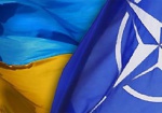 Турчинов создал украинскую часть совместной рабочей группы «Украина - НАТО»